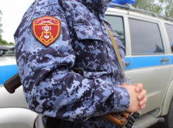 Волжане пытались украсть алкоголь из торгового центра