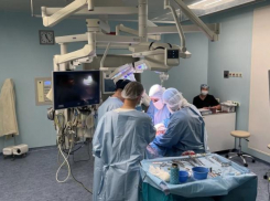 В Волжском официально запустили бесплатные пересадки почки по полису ОМС