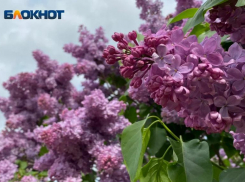 Сильный ветер и облака накроют Волжский: прогноз погоды на воскресенье