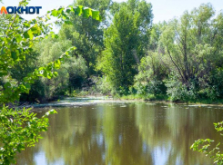 Волжским землевладельцам предлагают ознакомиться с кадастровой оценкой