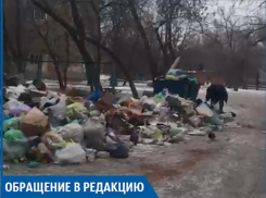 Наши дети гуляют среди кучи мусора, - волжане