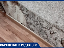 В Волжском жители задыхаются от грибка в многоквартирном доме: течет кровля