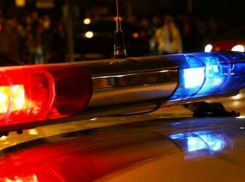 Под Волгоградом полицейские устроили облаву на угонщиков