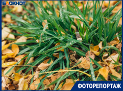Прогулки по осенним улицам Волжского