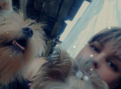 Бросил умирающую собаку и детей: чем закончилась трагедия на дороге в Волжском