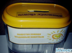На юге Волгограда из зоомагазина украли ящик для пожертвований