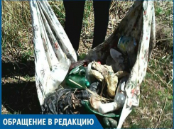 Приехали отдыхать, а пришлось убирать мусор, - волжанка