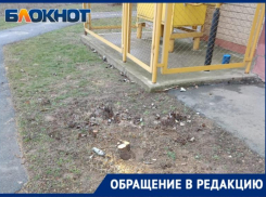 «Я ничего не могла сделать против сильного мужчины с бензопилой в руках»,- волжанка об инциденте во дворе многоэтажки