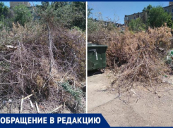 Горы сухостоя встретили жару и живность во дворах Волжского 