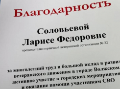 Совет ветеранов Волжского подвел итоги работы за год