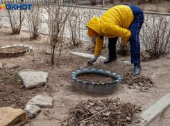 Первые заморозки на даче: советы для волжан, как обезопасить огород