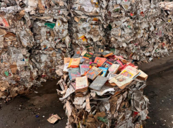 Не выкидывайте книги, а оставляйте их на полках буккроссинга: как в Волжском на свалке появляются сотни изданий