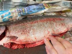 Продавец рыбы прокомментировал ситуацию с жалобой на качество продукта от волжанки
