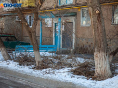 Вандалы изуродовали 8 вязов в Волжском