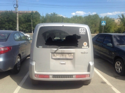 Волгоградец расстрелял машину другого автомобилиста из-за конфликта на дороге