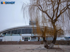 Срубили нашу ивушку под самый корешок: плакучее дерево прославилось в Волжском