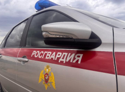 Ранее судимый за кражу мужчина попытался вынести товары из гипермаркета в Волжском