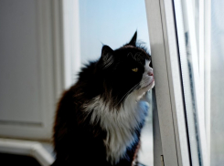 «Жара невозможная и вонь»: волжане продолжают жаловаться на неприятные запахи