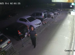 В Волжском появились мужчины-расхитители петуний: видео