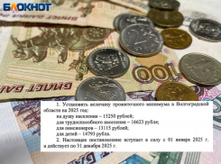 15 тысяч рублей - такой прожиточный минимум установили в Волжском на 2025 год