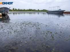 Под Волжским стартует масштабный проект восстановления водной артерии