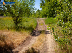 Волжанам продлили запрет на въезд в леса до 22 июля