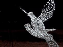 Светящийся символ мира установили для волжан