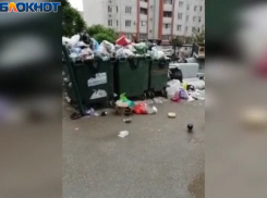 Дефицит контейнеров: в Волжском не успевают вывозить мусор