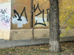 Волжский утопает в чужих подписях: вандалы изрисовали всю старую часть города