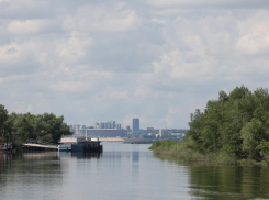 Волго-Ахтубинская пойма заполнилась на 70-85%, несмотря на маловодье