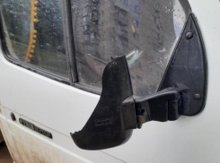 Ветка упавшего дерева сбила боковое зеркало с машины волжанина