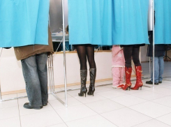 В Волгоградской области могут пройти первые в России Интернет-выборы