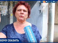 «Услышьте нас, мы тонем в этом»: волжане о полчищах насекомых в подвале многоэтажки