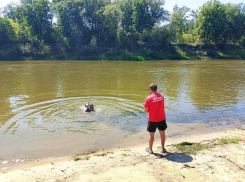 Вода забрала еще одну жизнь: в Волгоградской области погиб рыбак, пополнив печальную статистику
