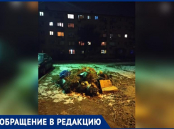 Двор превратился в кладбище сухостоя после спила деревьев в Волжком