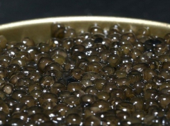 Житель Калмыкии пытался провезти через Волгоградскую область почти килограмм черной икры