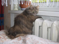 Волжане будут платить за отопление равномерно в течение года