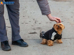 Почти лето: синоптики прогнозируют теплый и солнечный четверг