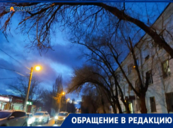 Ветки висят на волоске над тротуаром – волжанин рассказал о ситуации на оживленной улице