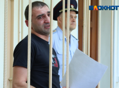 Большинство волжан несогласны с решением суда о смягчении приговора для Григоряна