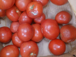 В «Магните» обнаружились дешевые помидоры, но с плесенью, а в «Радеже» и «Покупочке» дорогие, но красивые 