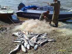 Браконьеры из Ленинска и Средней Ахтубы были задержаны сотрудниками полиции