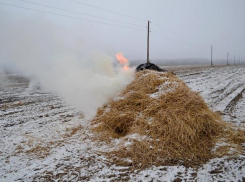 Под Волжским сгорело 700 кг сена 