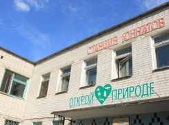 Депутаты развеяли слухи о закрытии Волжской станции юннатов