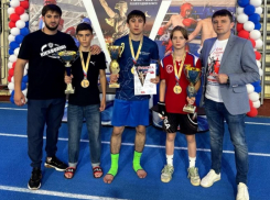 Волжане завоевали 8 золотых кубков на всероссийских соревнованиях по кикбоксингу