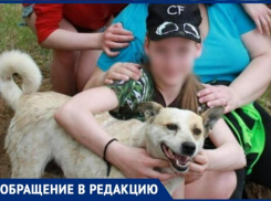 В Волжском неизвестный в упор расстрелял собаку в жилом секторе