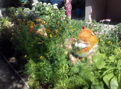 Конкурс на лучшую клумбу в Волжском набирает обороты