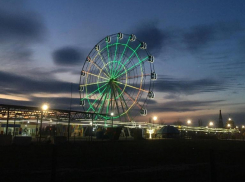 День братьев и сестер будет теплым