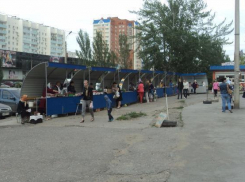 Местный урожай пользуется спросом на новой сельскохозяйственной ярмарке в Волжском