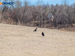 Понедельник в Волжском будет малооблачным: прогноз погоды